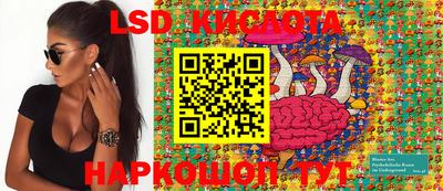 спайс Коммунар