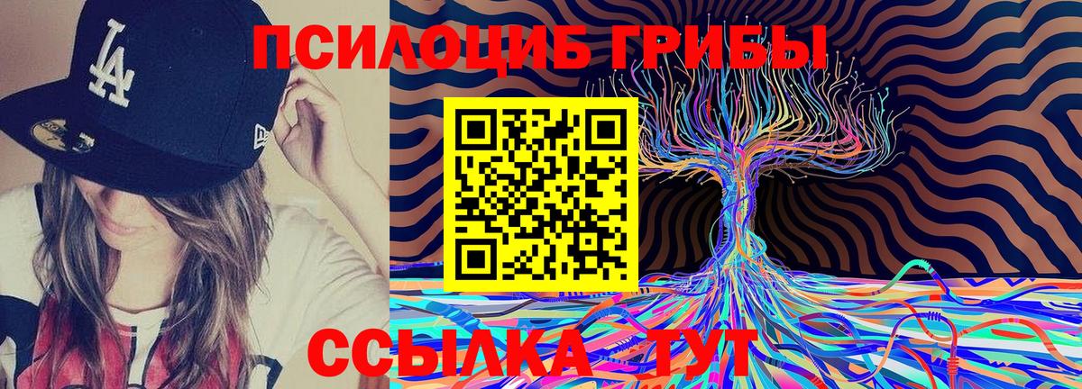 Галлюциногенные грибы Cubensis Кстово