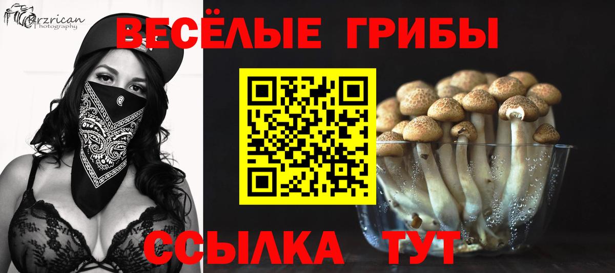 Кстово  Галлюциногенные грибы прущие грибы  Вход с VPN 
