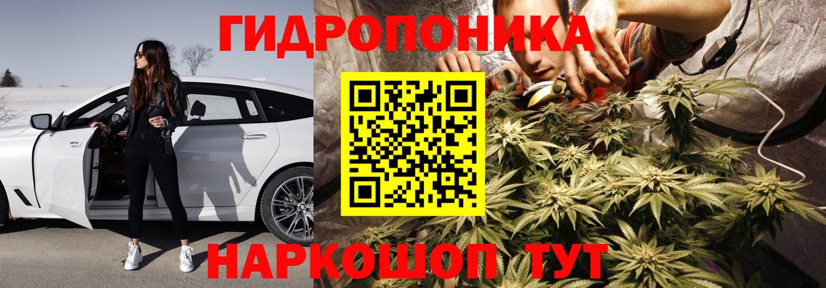 Каннабис гибрид  Канабис White Widow  Кстово  Шишки марихуана тримм  Вход с VPN 